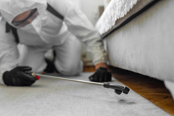 Professional Bed Bug Control technician working in Lakeview, MI